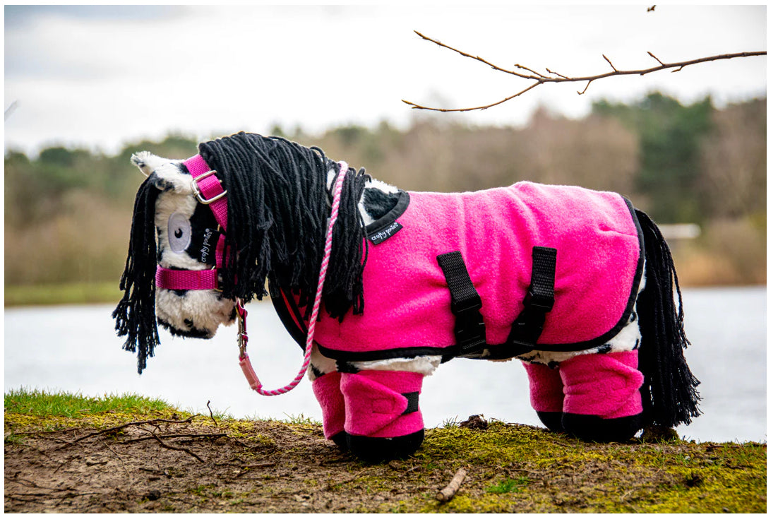 Crafty ponies rug set