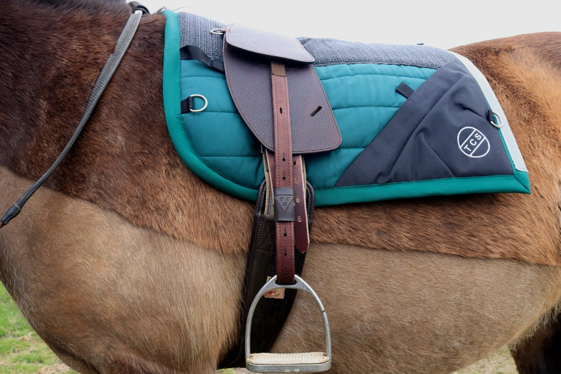 TCS - Premium Total Contact Saddle