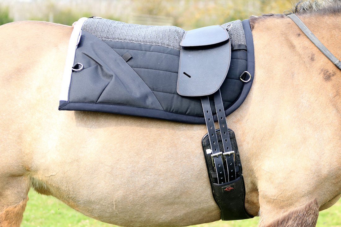 TCS - Classic Total Contact Saddle