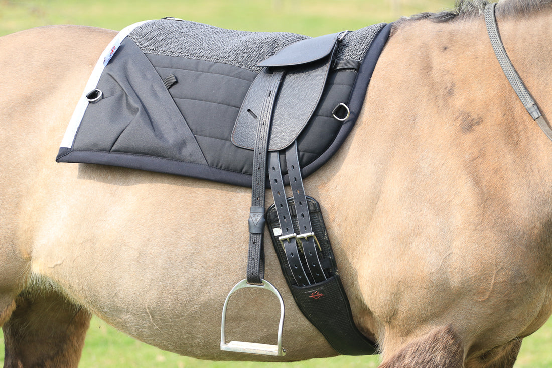 TCS - Classic Total Contact Saddle