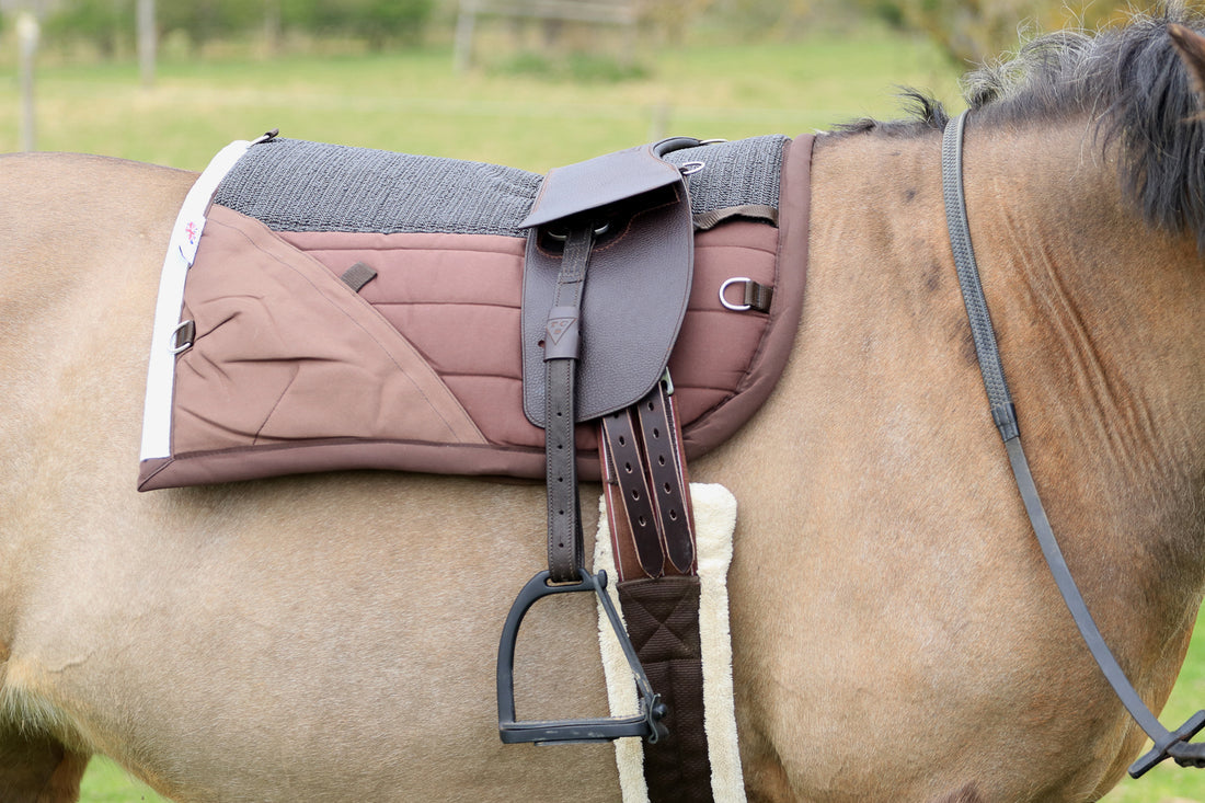 TCS - Classic Total Contact Saddle